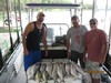 (05/29/2018) - Nice Striped Bass